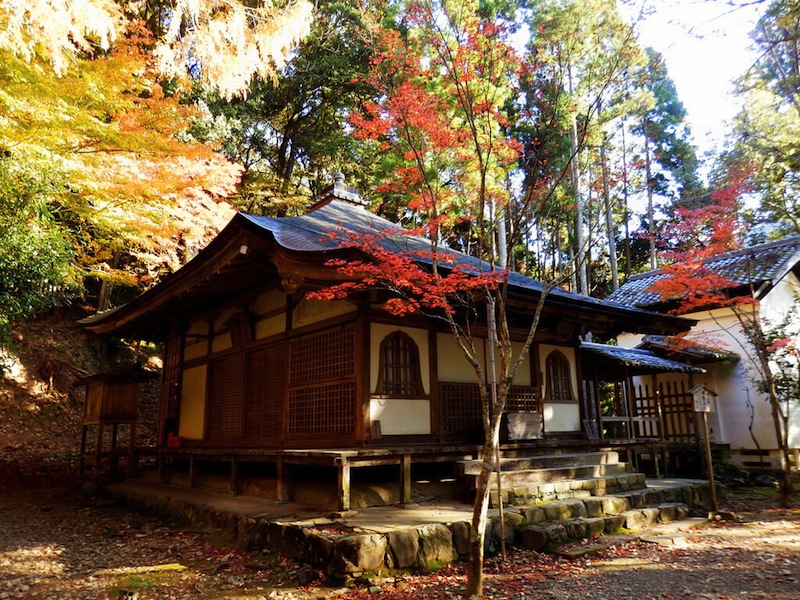 秋の高山寺