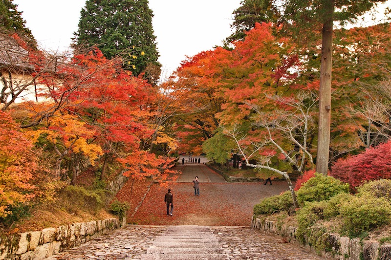 毘沙門堂の紅葉
