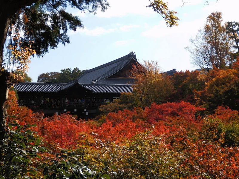 東福寺の紅葉
