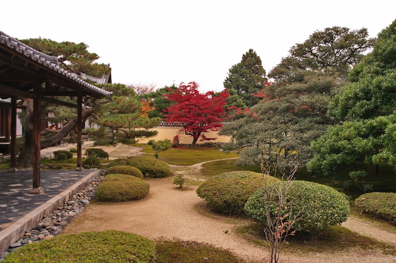 秋の鹿王院