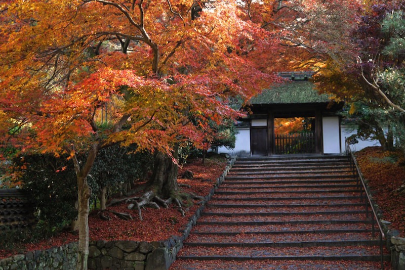 安楽寺の紅葉