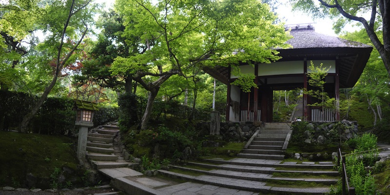 春の常寂光寺