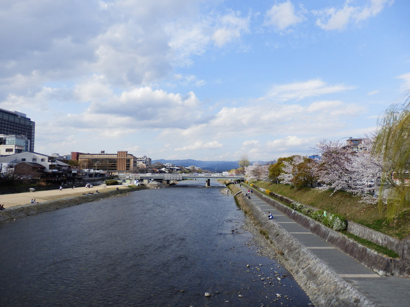 春の鴨川