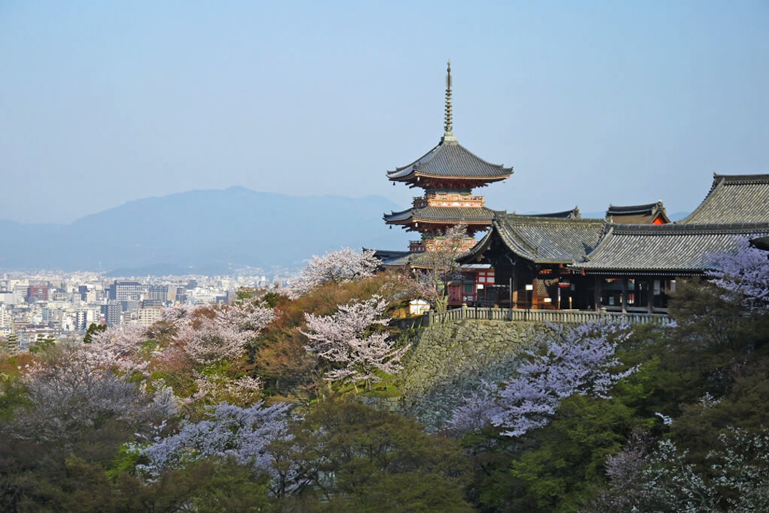 清水寺の桜