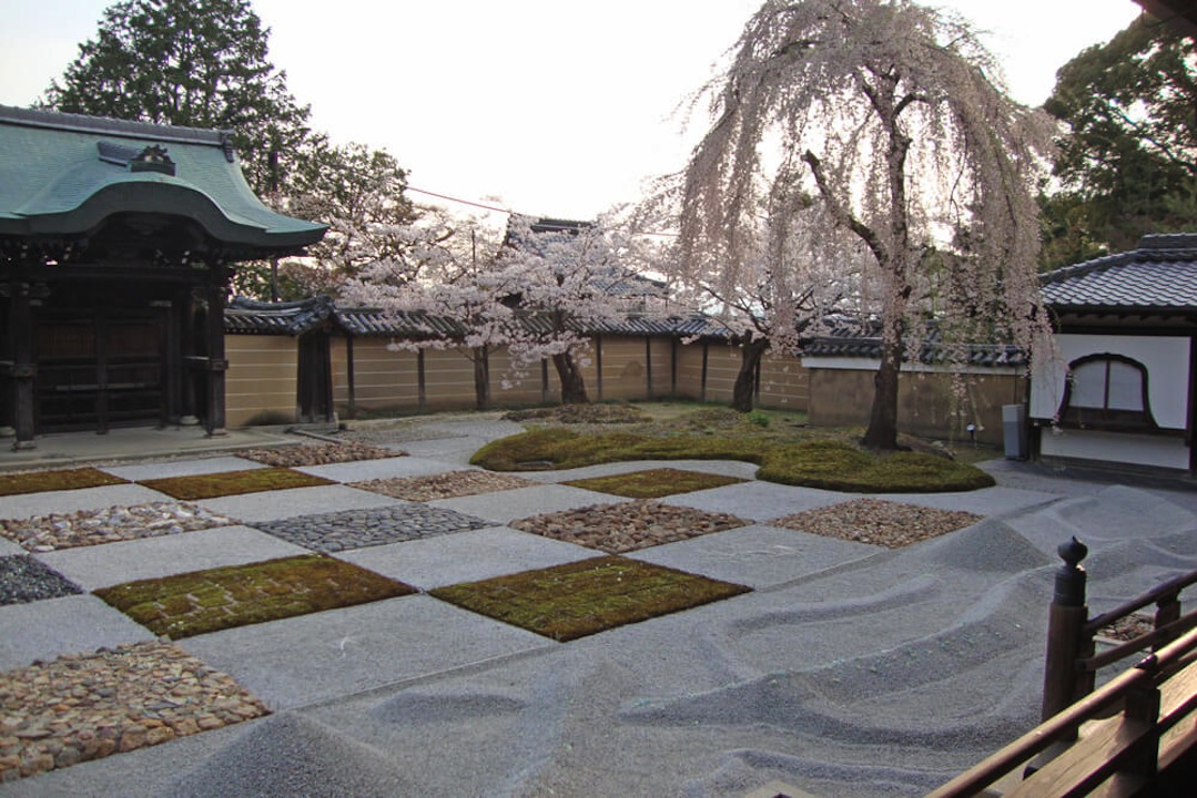 高台寺の桜