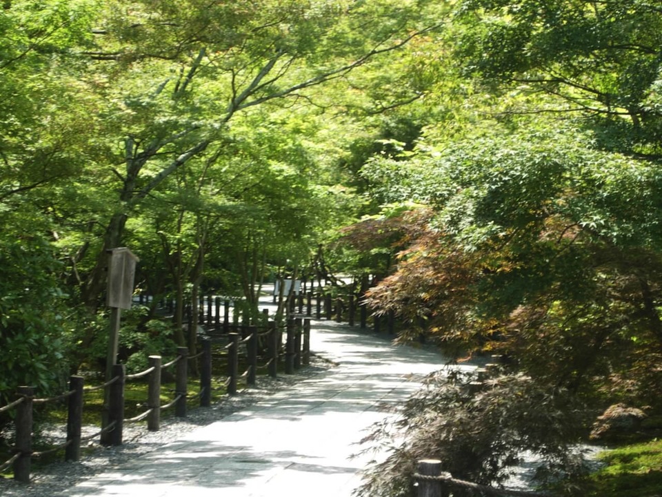 春の永観堂