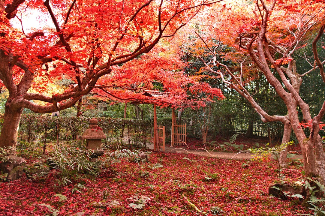 厭離庵