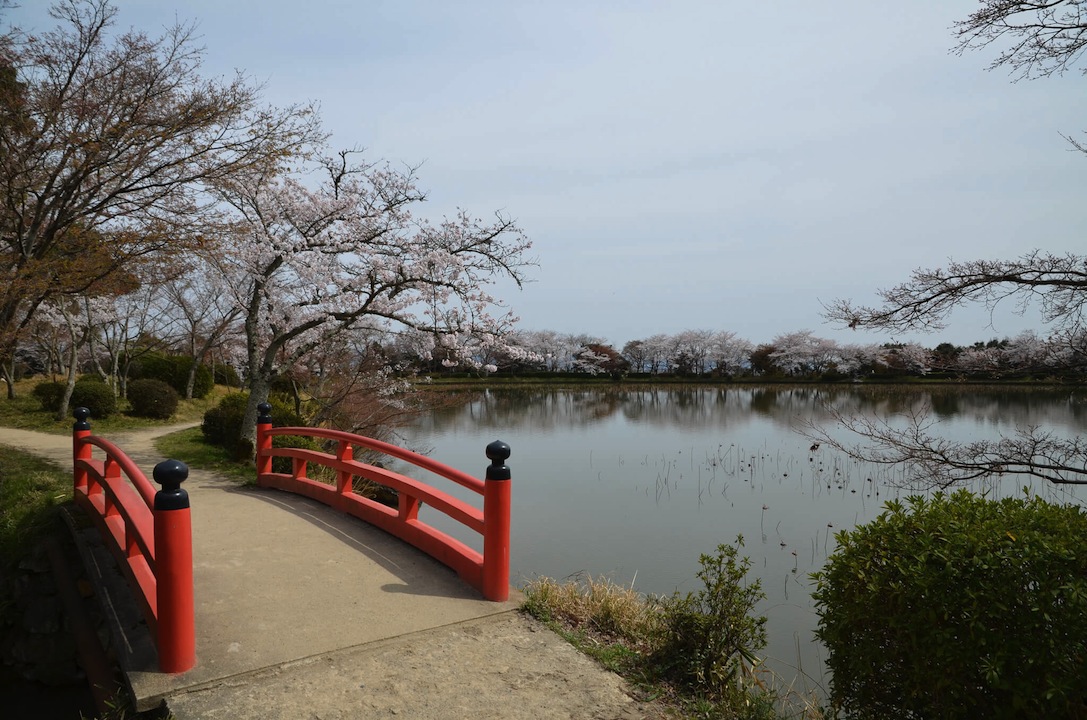 春の大沢池