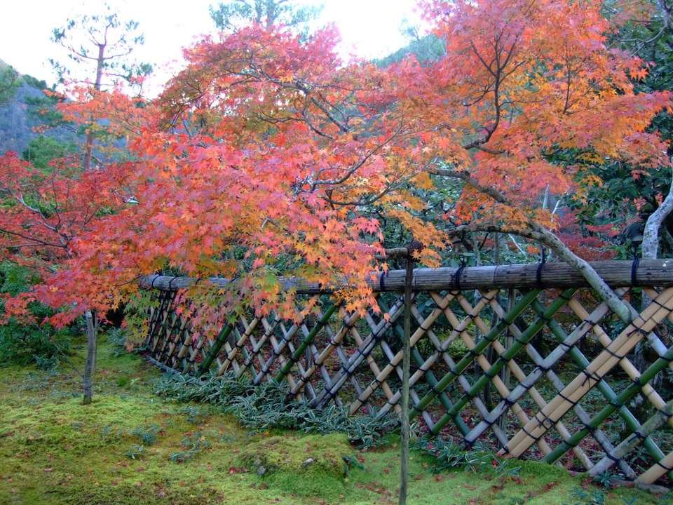 光悦寺