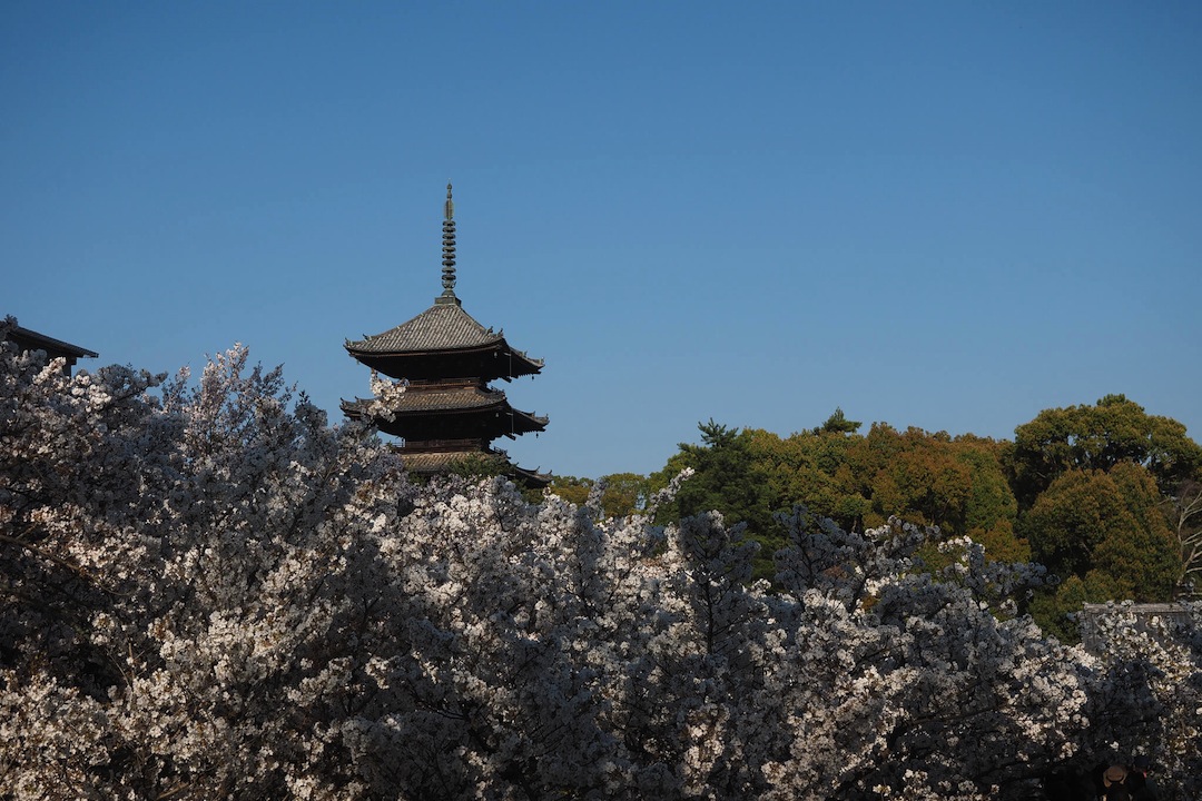 仁和寺