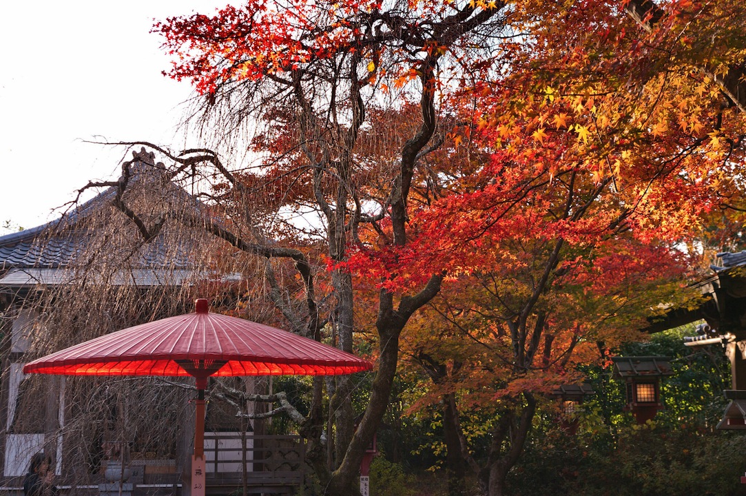 常照寺