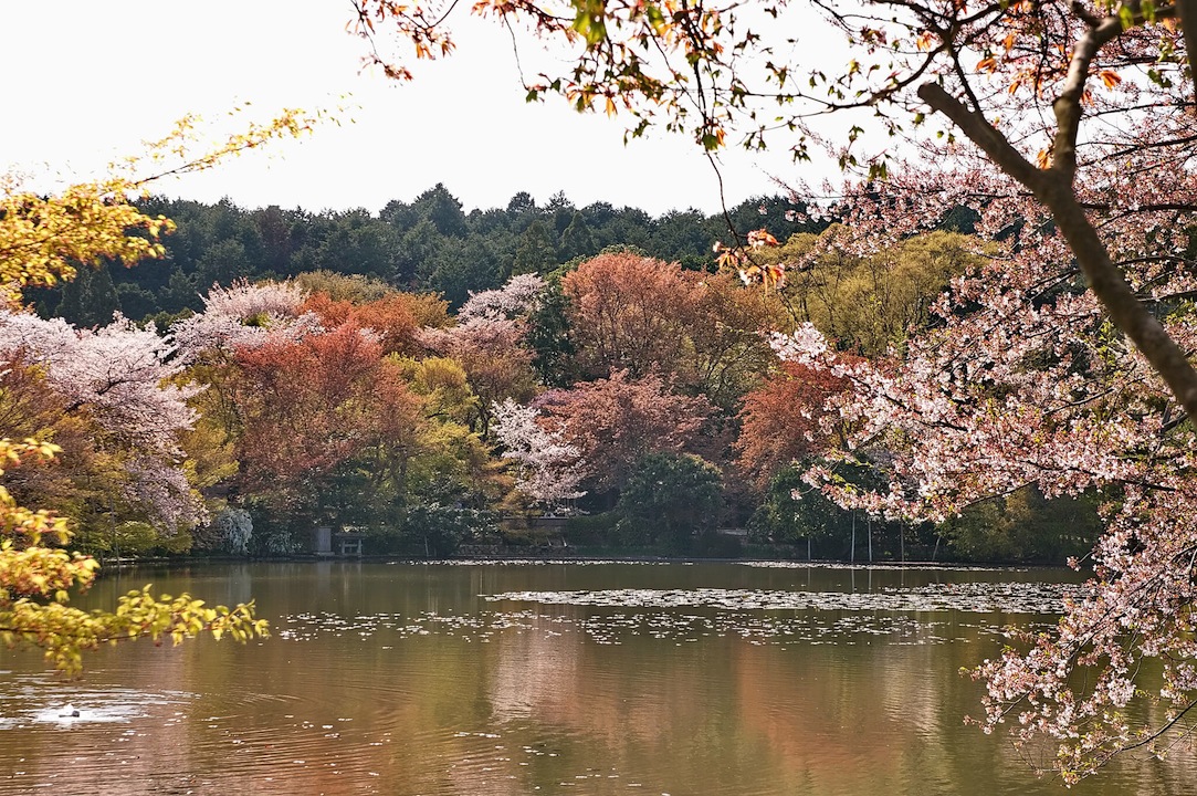 龍安寺