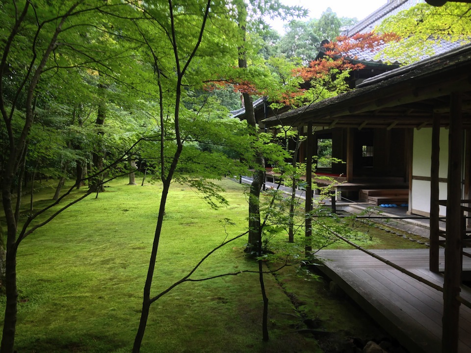 大徳寺 高桐院