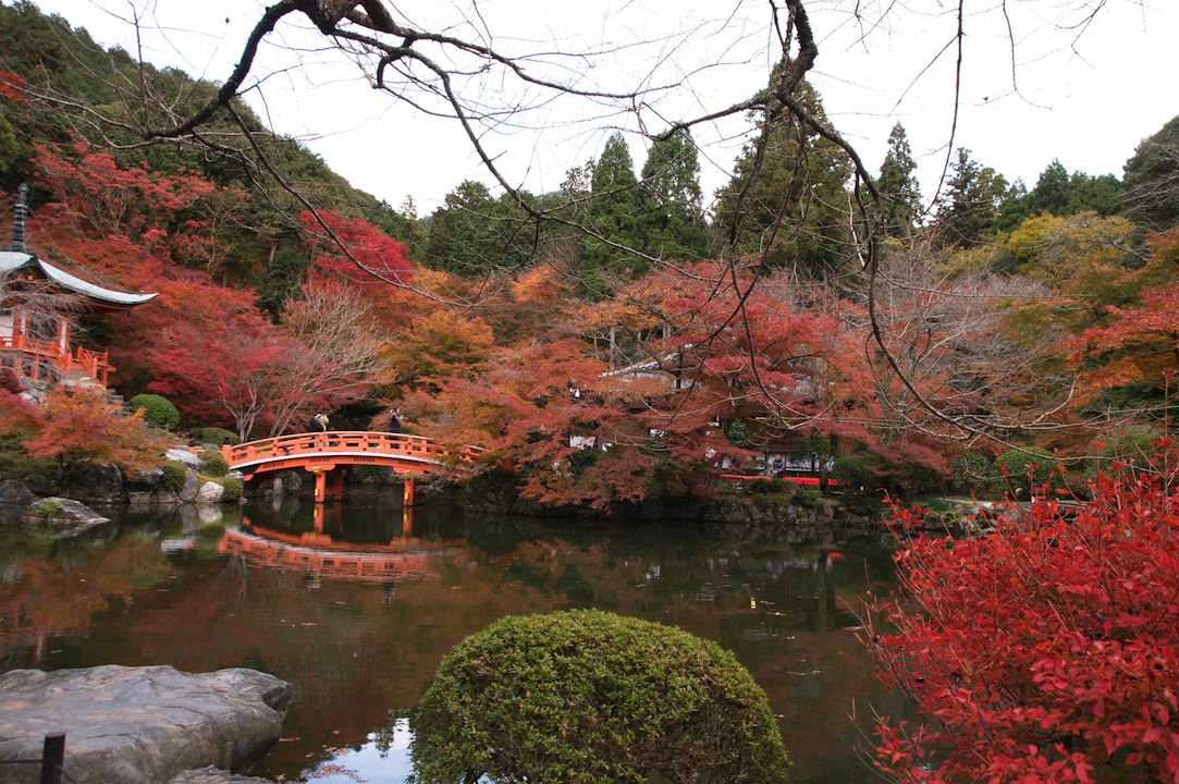 醍醐寺
