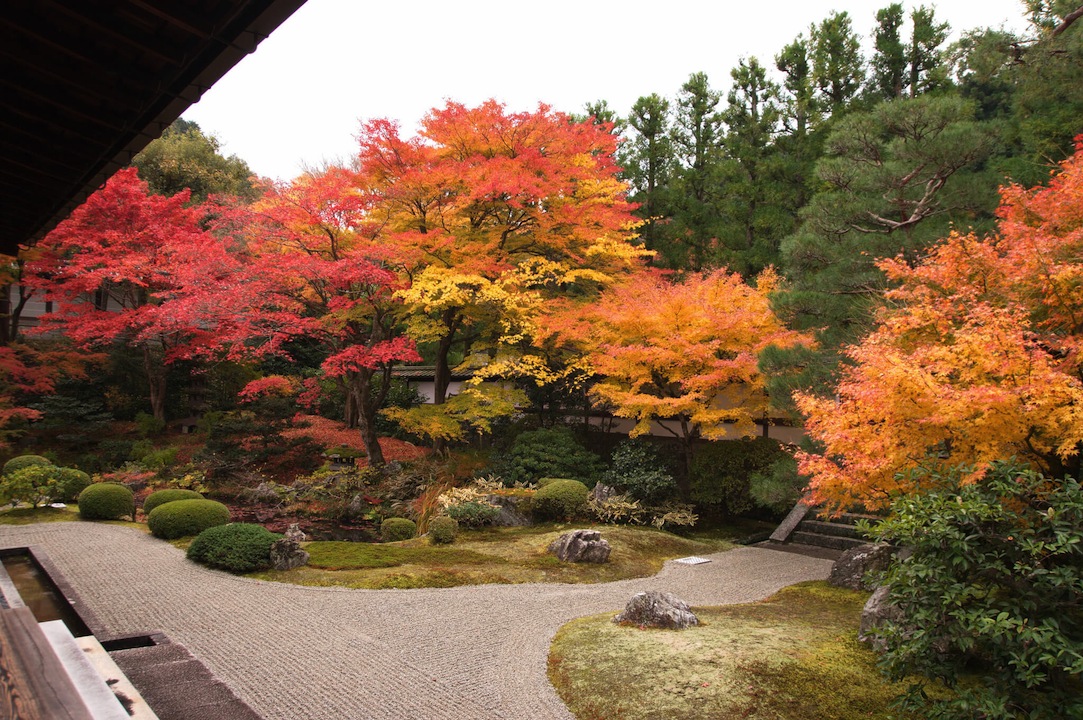 泉涌寺