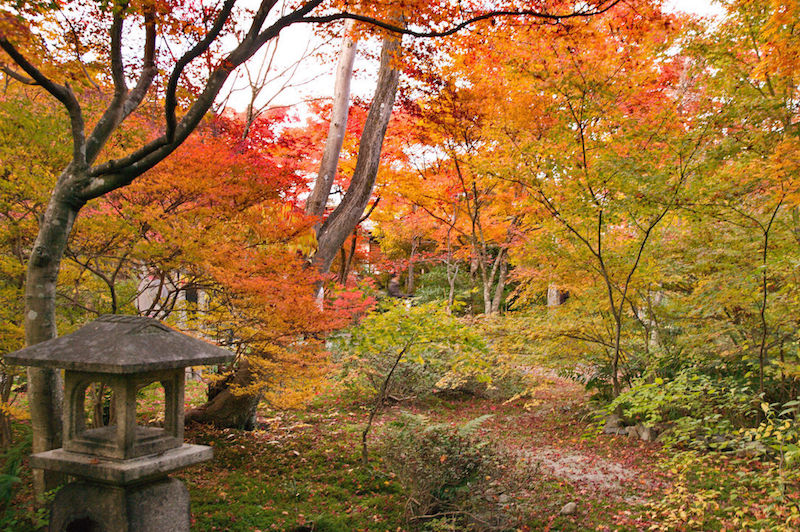 宝筐院