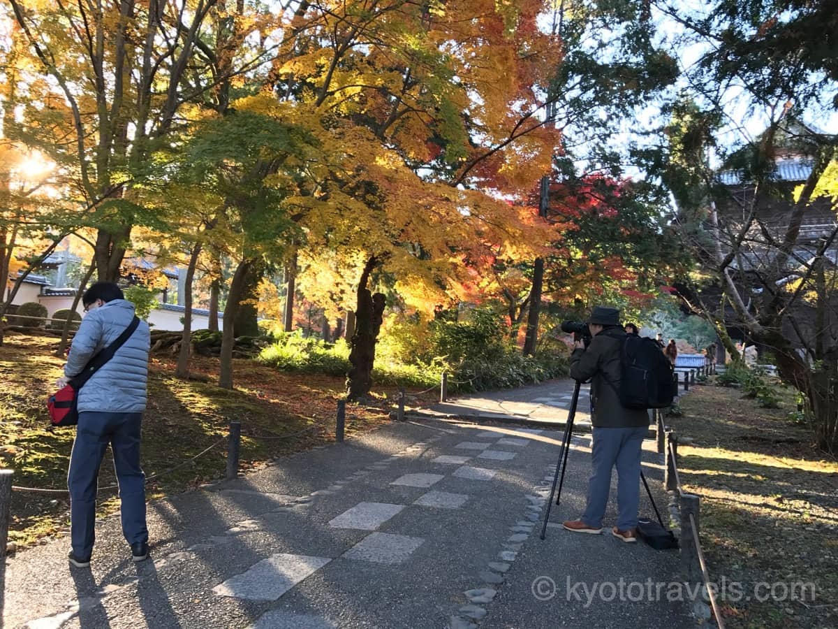 南禅寺の紅葉を撮影するカメラマン