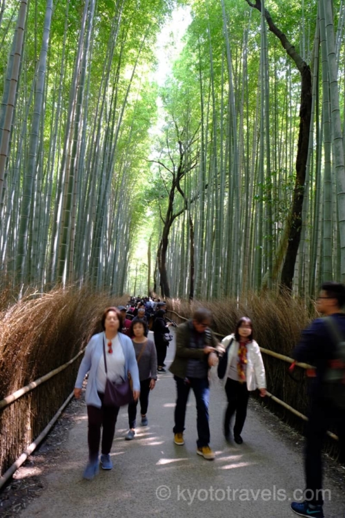 大混雑の嵐山 竹林の小径