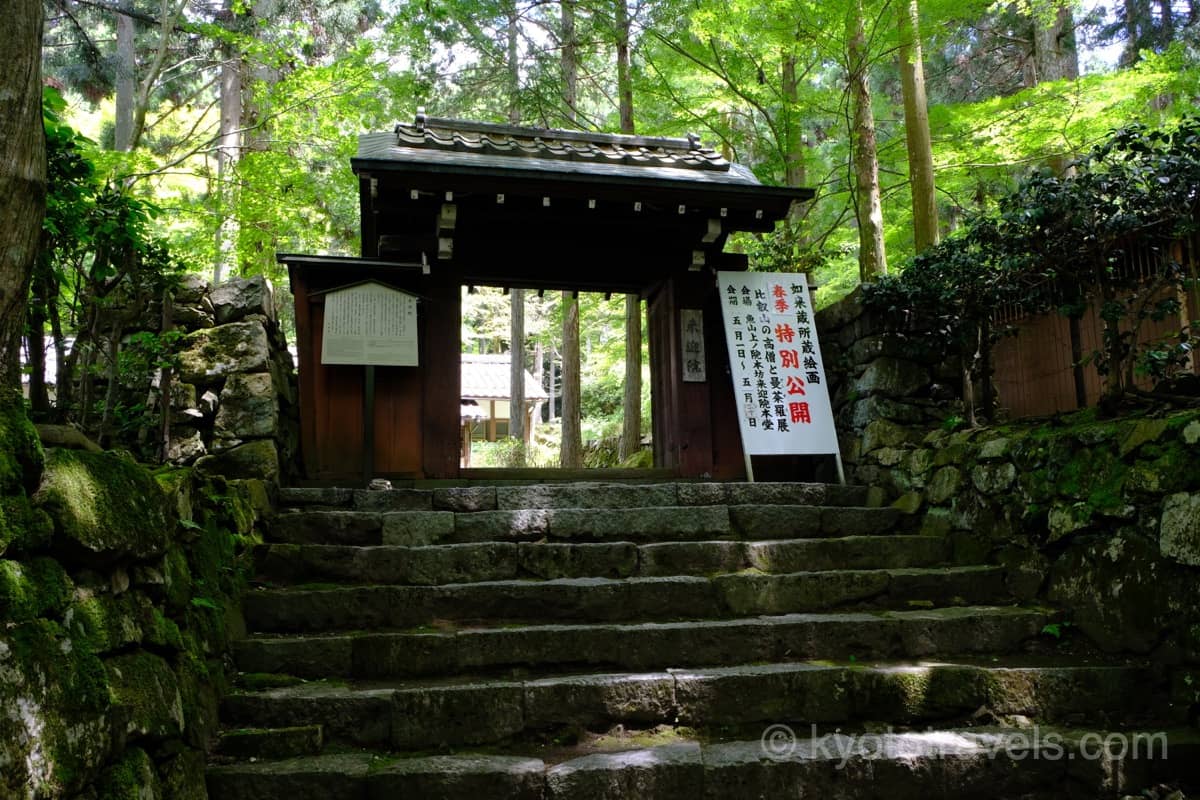 来迎院 新緑の門