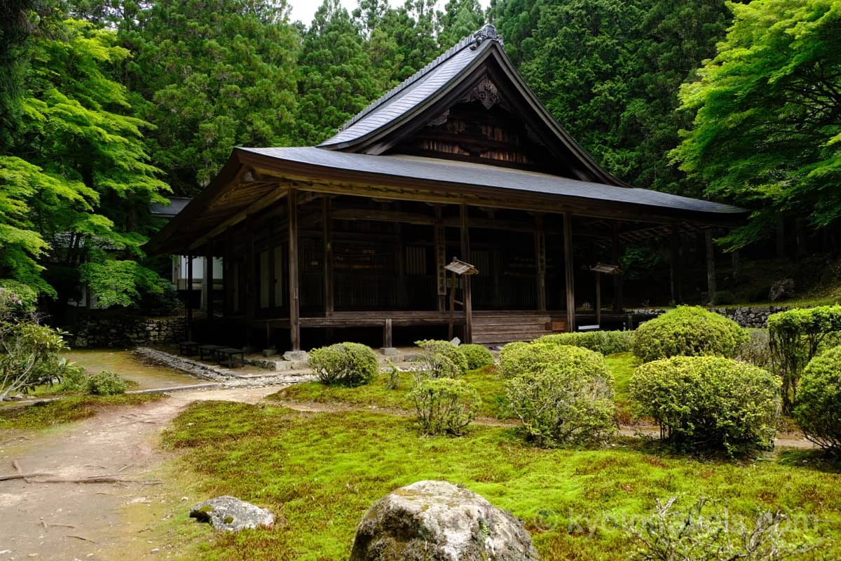 来迎院 新緑と本堂