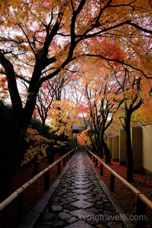 光悦寺 紅葉シーズンの参道