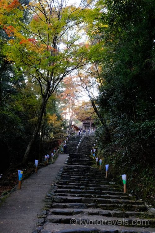 神護寺 参道の紅葉