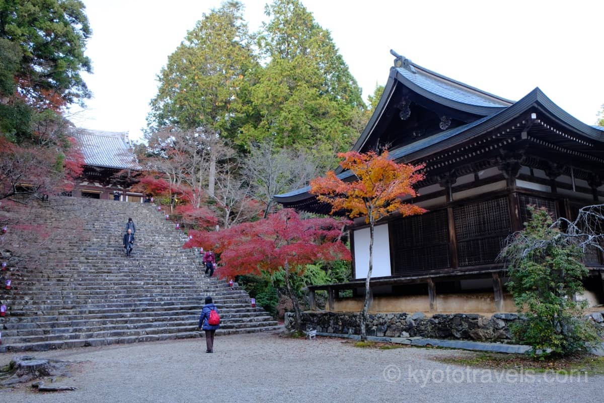 神護寺 明王堂と紅葉