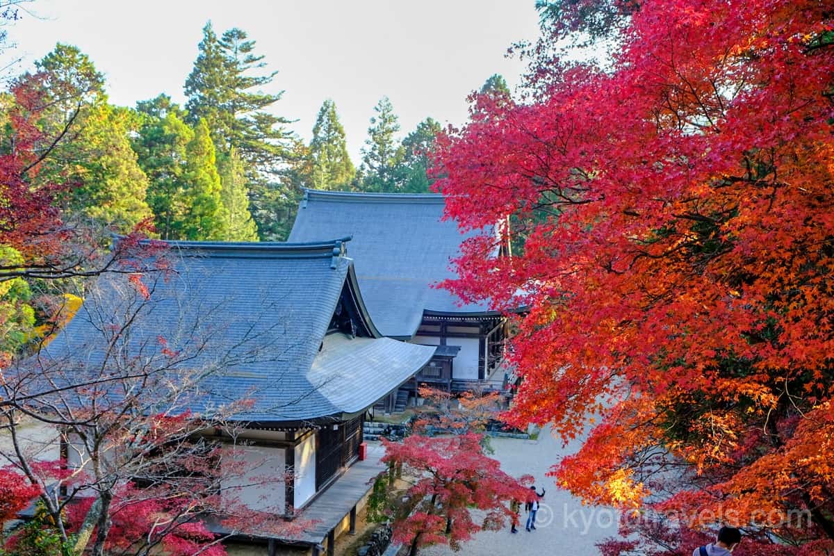 神護寺 五大堂 毘沙門堂と紅葉